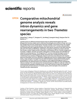 Comparative Mitochondrial Genome Analysis Reveals Intron Dynamics