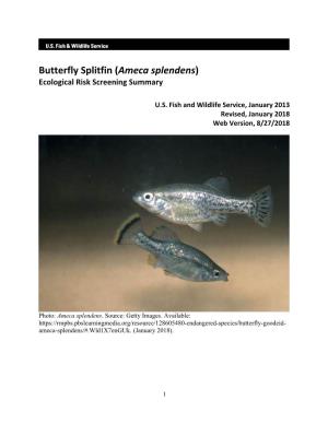 Butterfly Splitfin (Ameca Splendens) Ecological Risk Screening Summary