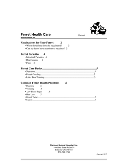 Ferret Health Care ​Clermont Animal Hospital Inc