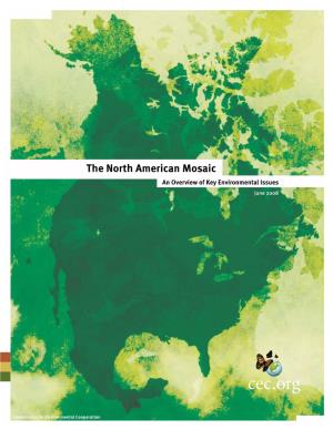 The North American Mosaic: an Overview of Key Environmental Issues 3