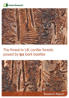 The Threat to UK Conifer Forests Posed by Ips Bark Beetles