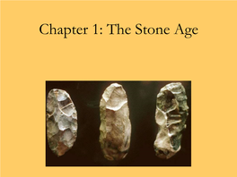 The Stone Age STONE AGE