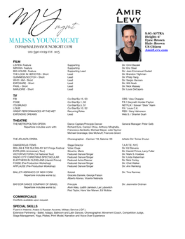 Amir Levy Resume