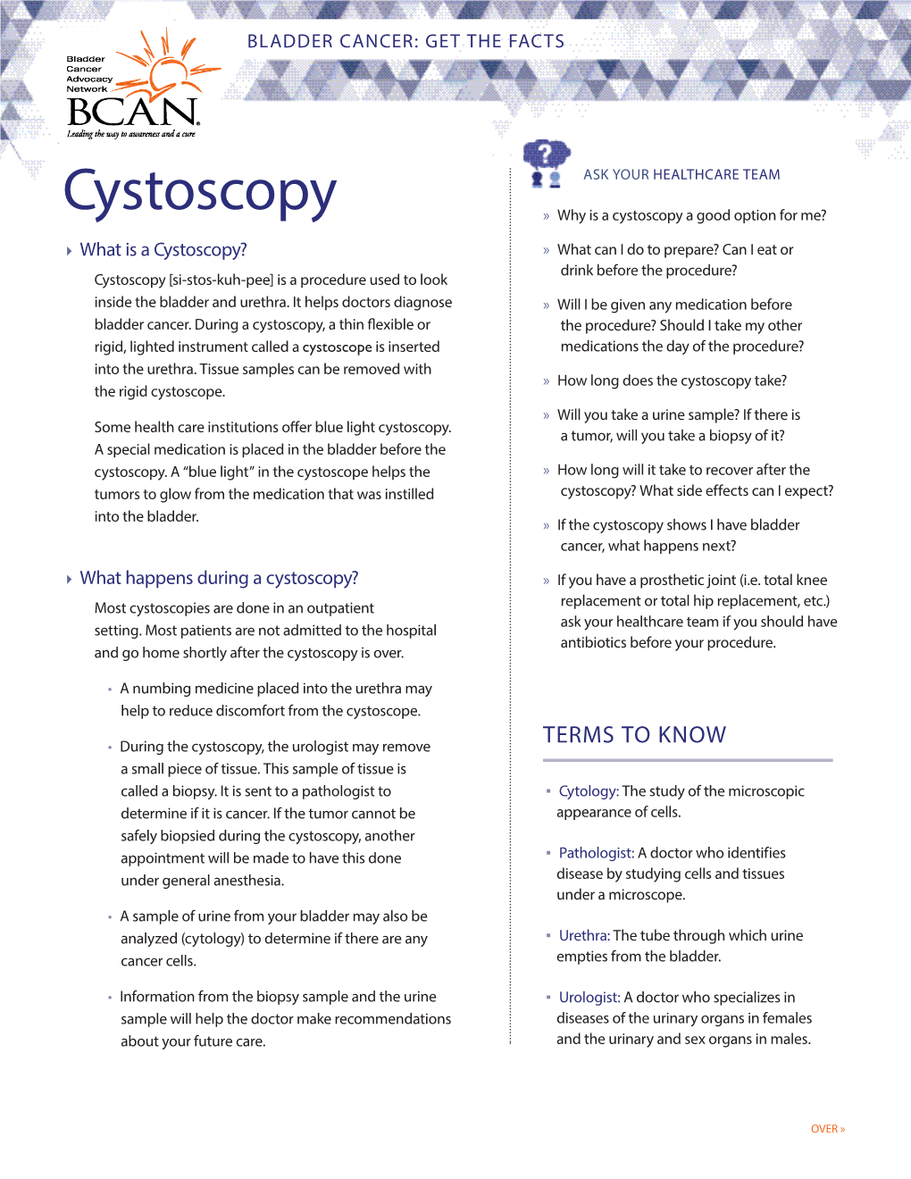 Cystoscopy » Why Is a Cystoscopy a Good Option for Me?