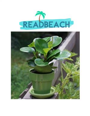 Peperomia Baby Rubber Plant Care Guide In