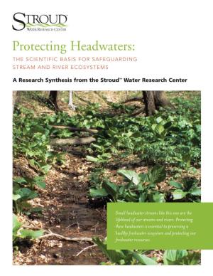 Protecting Headwaters: the SCIENTIFIC BASIS for SAFEGUARDING STREAM and RIVER ECOSYSTEMS
