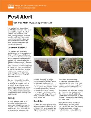Pest Alert: Box Tree Moth (Cydalima Perspectalis)