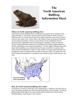 The North American Bullfrog Information Sheet