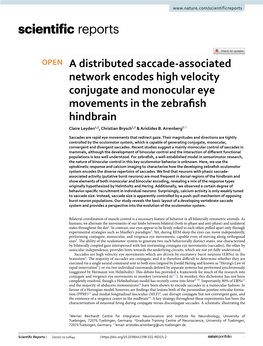 A Distributed Saccade-Associated Network Encodes High Velocity