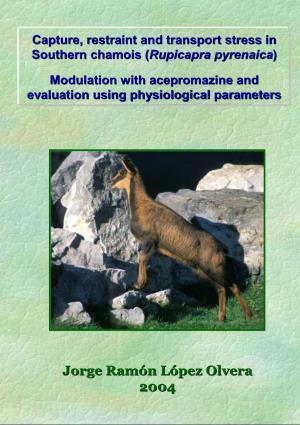 Capture, Restraint and Transport Stress in Southern Chamois (Rupicapra Pyrenaica)