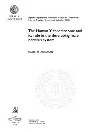 The Human Y Chromosome and Its Role in the Developing Male Nervous System
