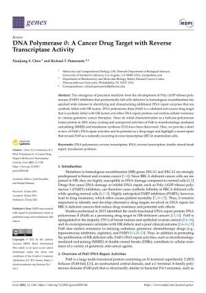 DNA Polymerase Θ: a Cancer Drug Target with Reverse Transcriptase Activity