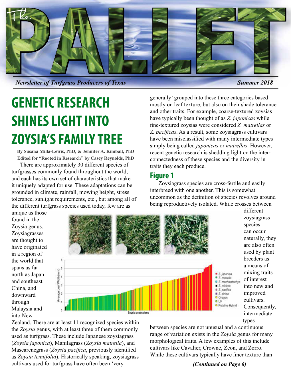 Genetic Research Shines Light Into Zoysia's Family Tree