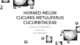 Horned Melon (Cucumis Metuliferus: Cucurbitaceae)