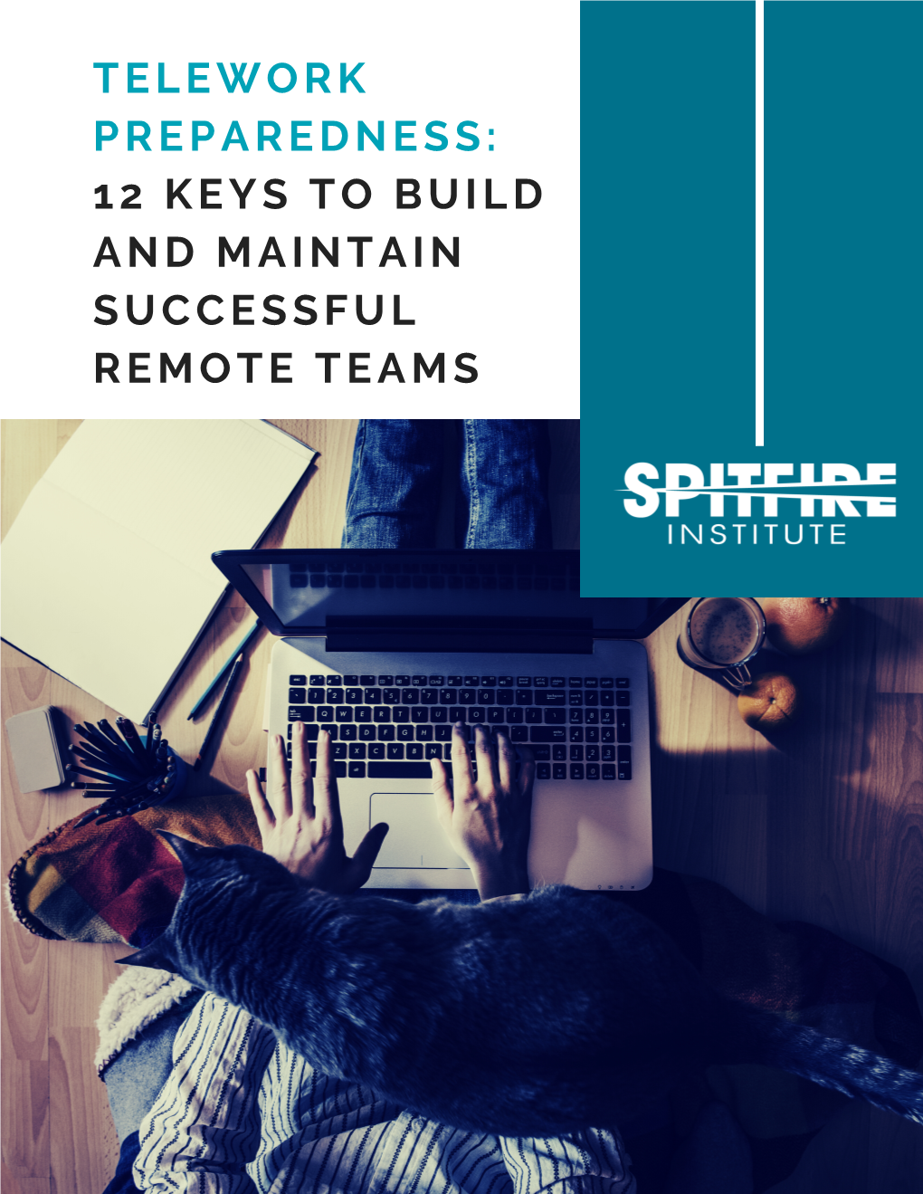 Telework Preparedness: 12 Keys to Build and Maintain