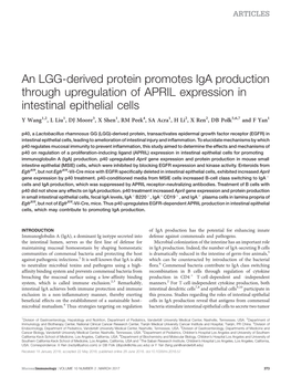 An LGG-Derived Protein Promotes Iga Production Through Upregulation of APRIL Expression in Intestinal Epithelial Cells