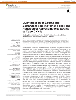 Quantification of Slackia and Eggerthella Spp. in Human Feces