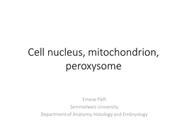 Cell Nucleus, Mitochondrium, Peroxysome