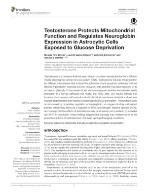 Testosterone Protects Mitochondrial Function and Regulates Neuroglobin Expression in Astrocytic Cells Exposed to Glucose Deprivation