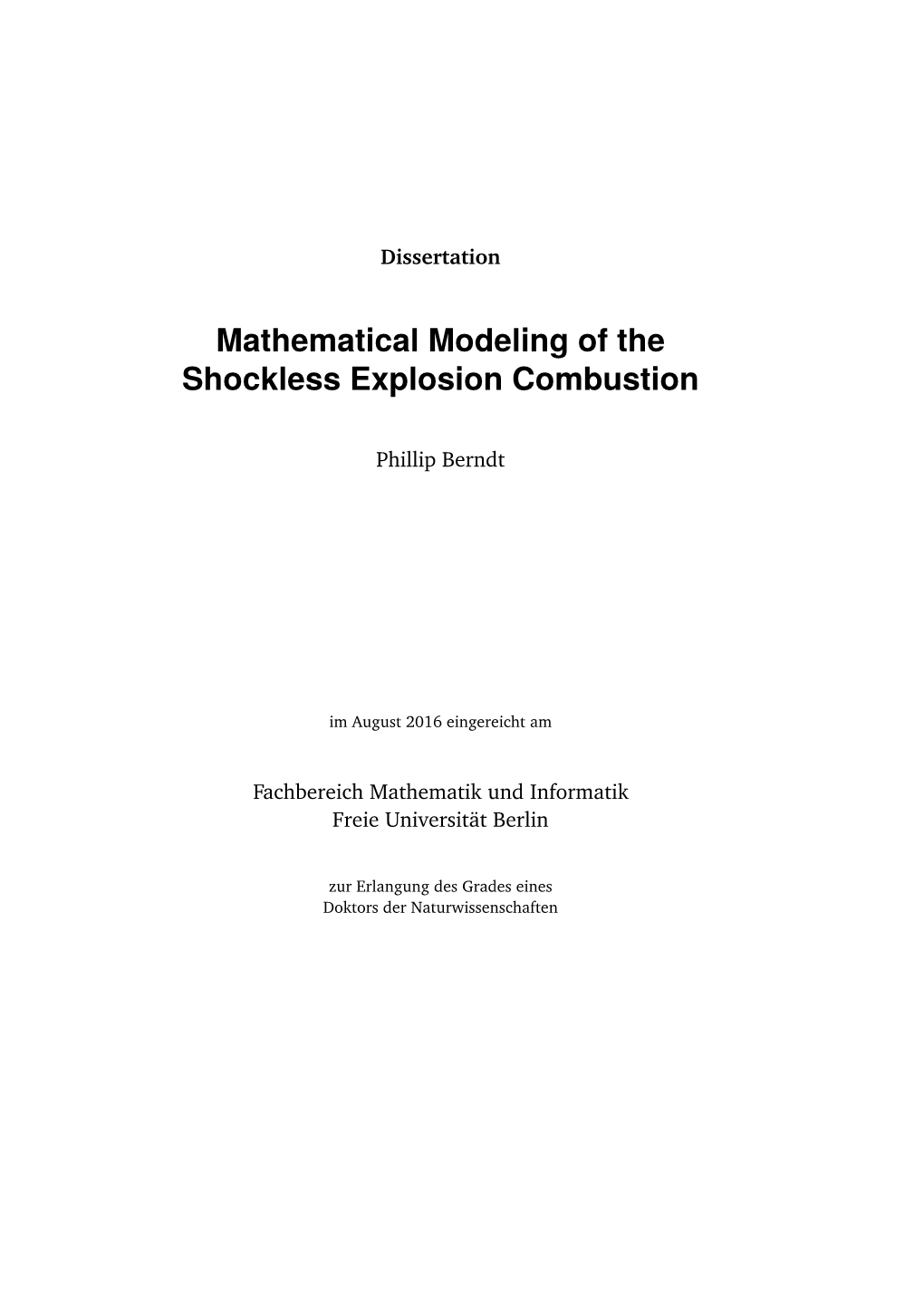 Mathematical Modeling of the Shockless Explosion Combustion