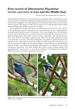 First Record of Ultramarine Flycatcher Ficedula Superciliaris in Iran and the Middle East SAEED CHERAGHI & MOHAMMAD TOHIDIFAR