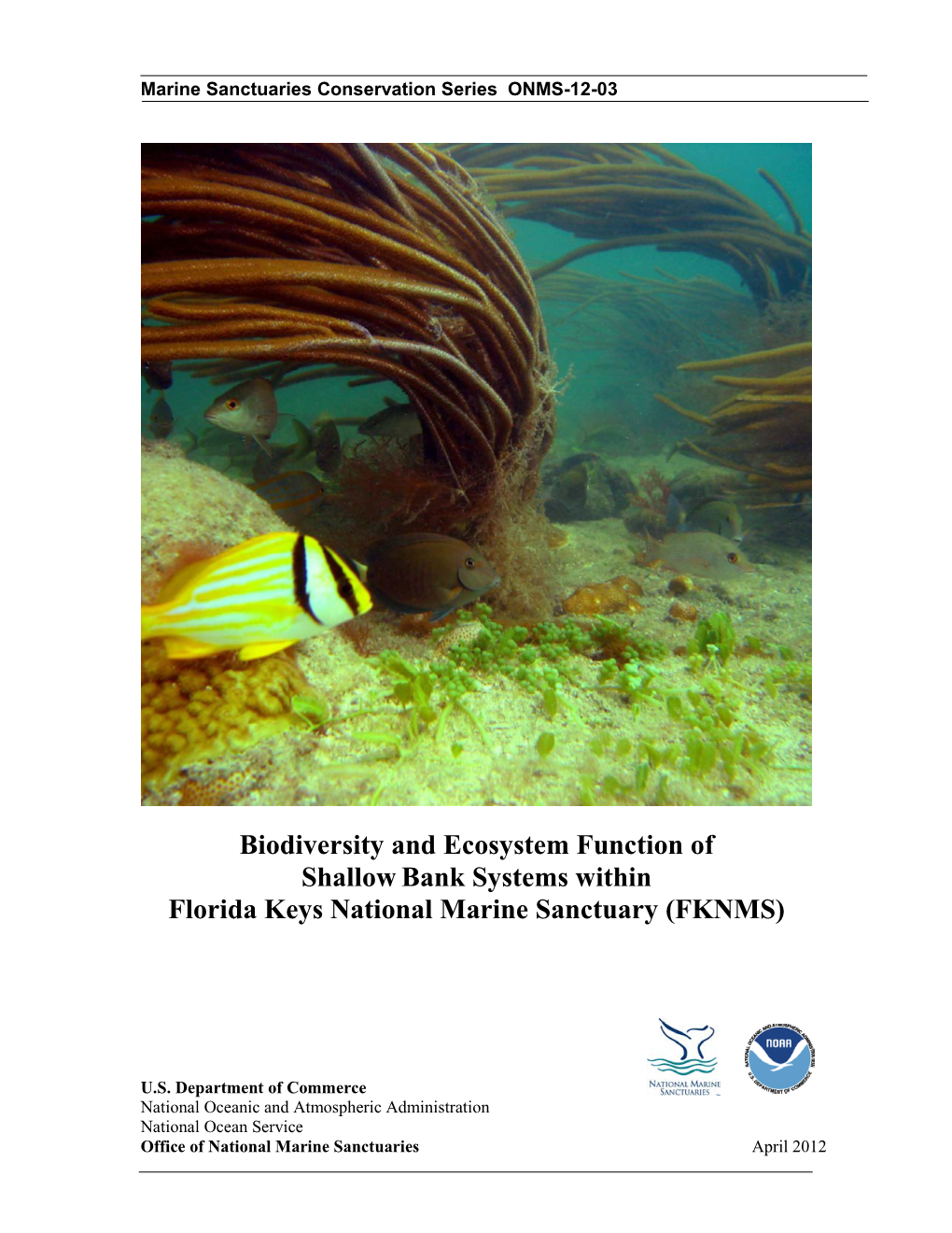 Biodiversity and Ecosystem Function of Shallowbank Systems Within