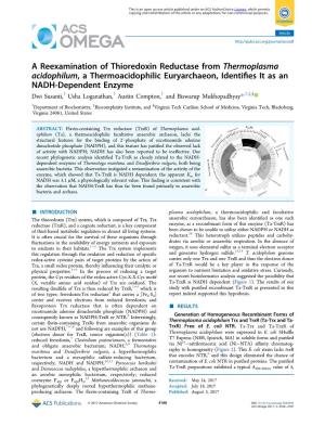 A Reexamination of Thioredoxin Reductase from Thermoplasma
