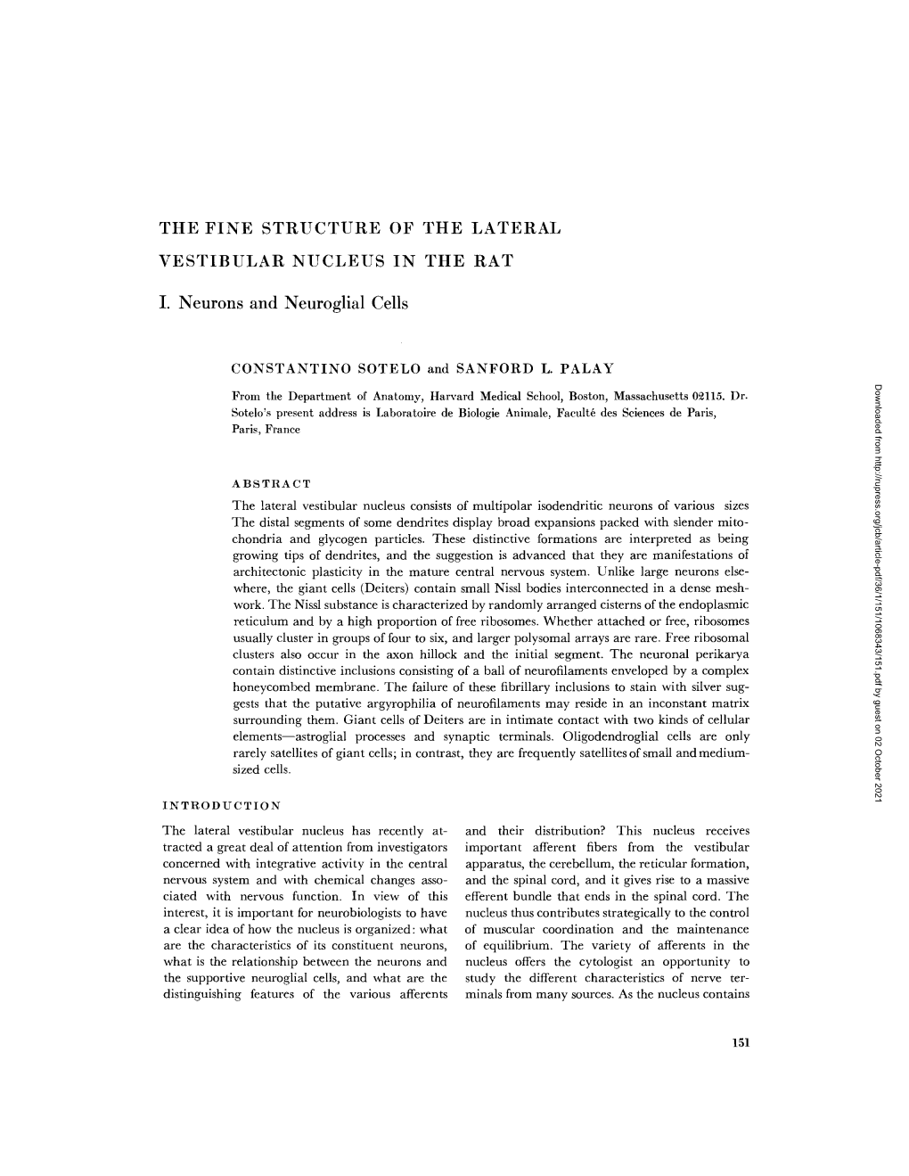 The Fine Structure of the Lateral Vestibular Nucleus in the Rat