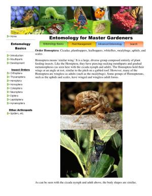 University of Kentucky Master Gardener Entomology Basics