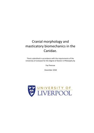 Cranial Morphology and Masticatory Biomechanics in the Canidae