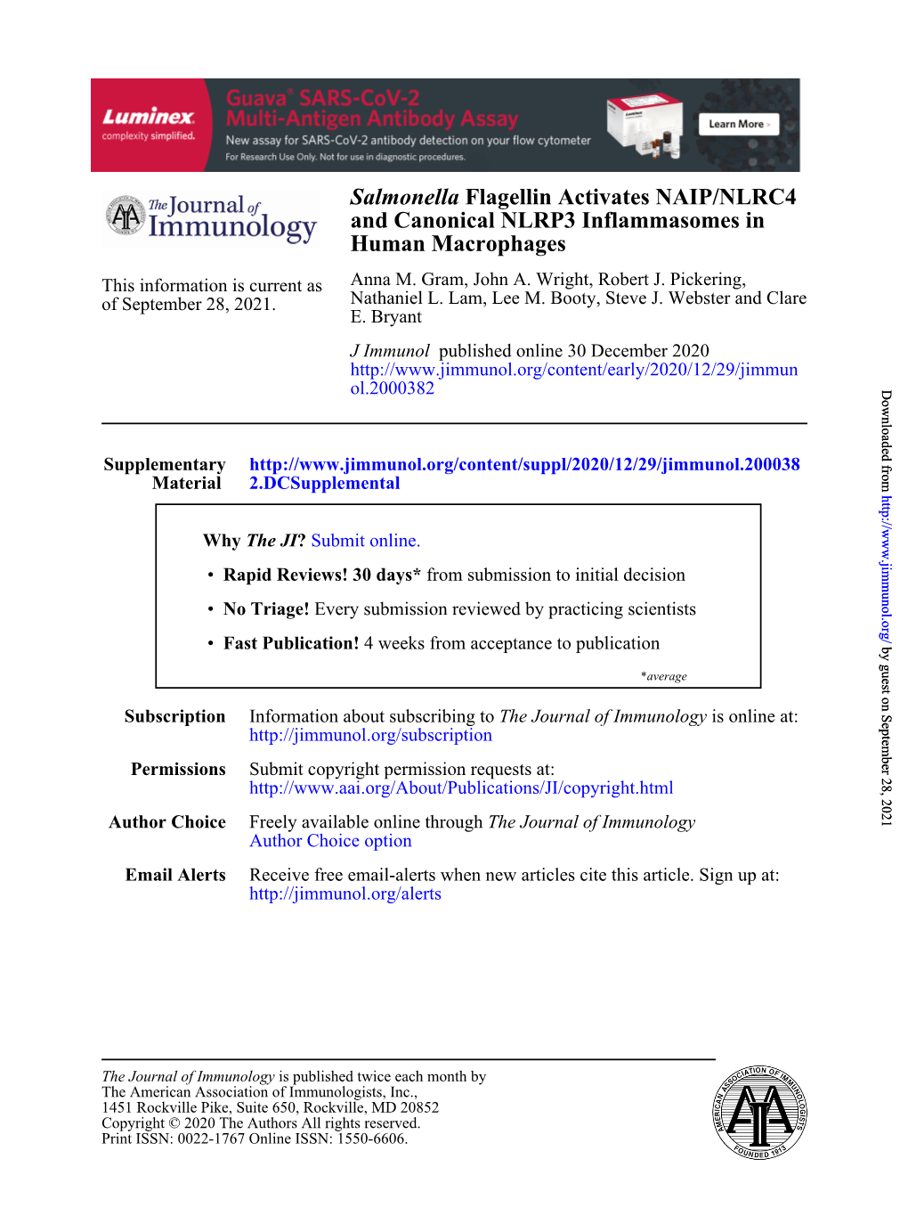 Salmonella Flagellin Activates NAIP/NLRC4 and Canonical NLRP3 Inflammasomes in Human Macrophages