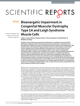 Bioenergetic Impairment in Congenital Muscular Dystrophy Type 1A And