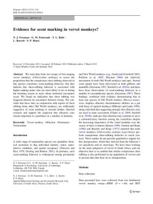 Evidence for Scent Marking in Vervet Monkeys?