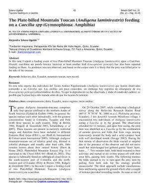 The Plate-Billed Mountain Toucan (Andigena Laminirostris) Feeding on a Caecilia Spp (Gymnophiona: Amphibia)