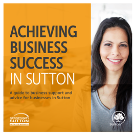 A Guide to Business Support and Advice for Businesses in Sutton