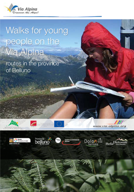 Walks for Young People on the Via Alpina Routes in the Province of Belluno Index