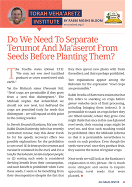 Do We Need to Separate Terumot and Ma'aserot from Seeds Before