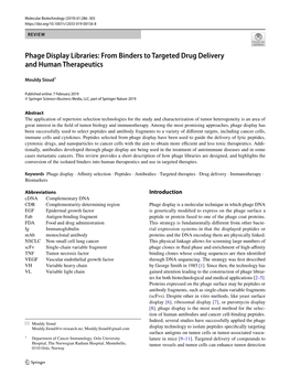 Phage Display Libraries: from Binders to Targeted Drug Delivery and Human Therapeutics