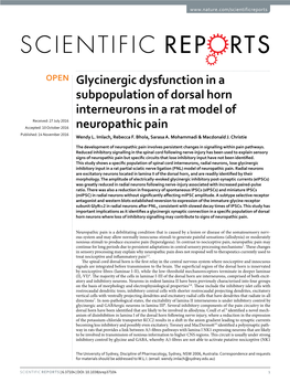 Glycinergic Dysfunction in a Subpopulation of Dorsal Horn