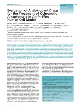 Evaluation of Antioxiodant Drugs for the Treatment of Ochronotic Alkaptonuria in an in Vitro Human Cell Model