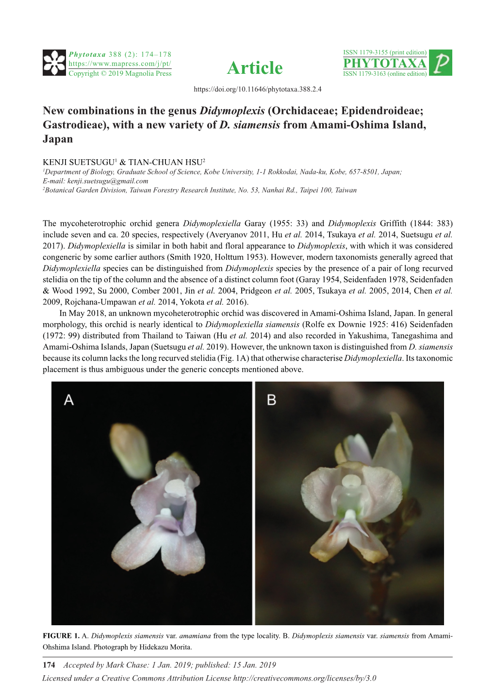 New Combinations in the Genus Didymoplexis (Orchidaceae; Epidendroideae; Gastrodieae), with a New Variety of D