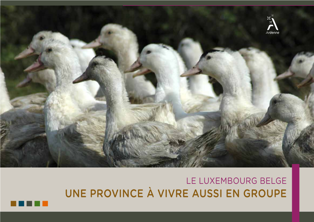 Une Province À Vivre Aussi En Groupe Amsterdam (340Km*)