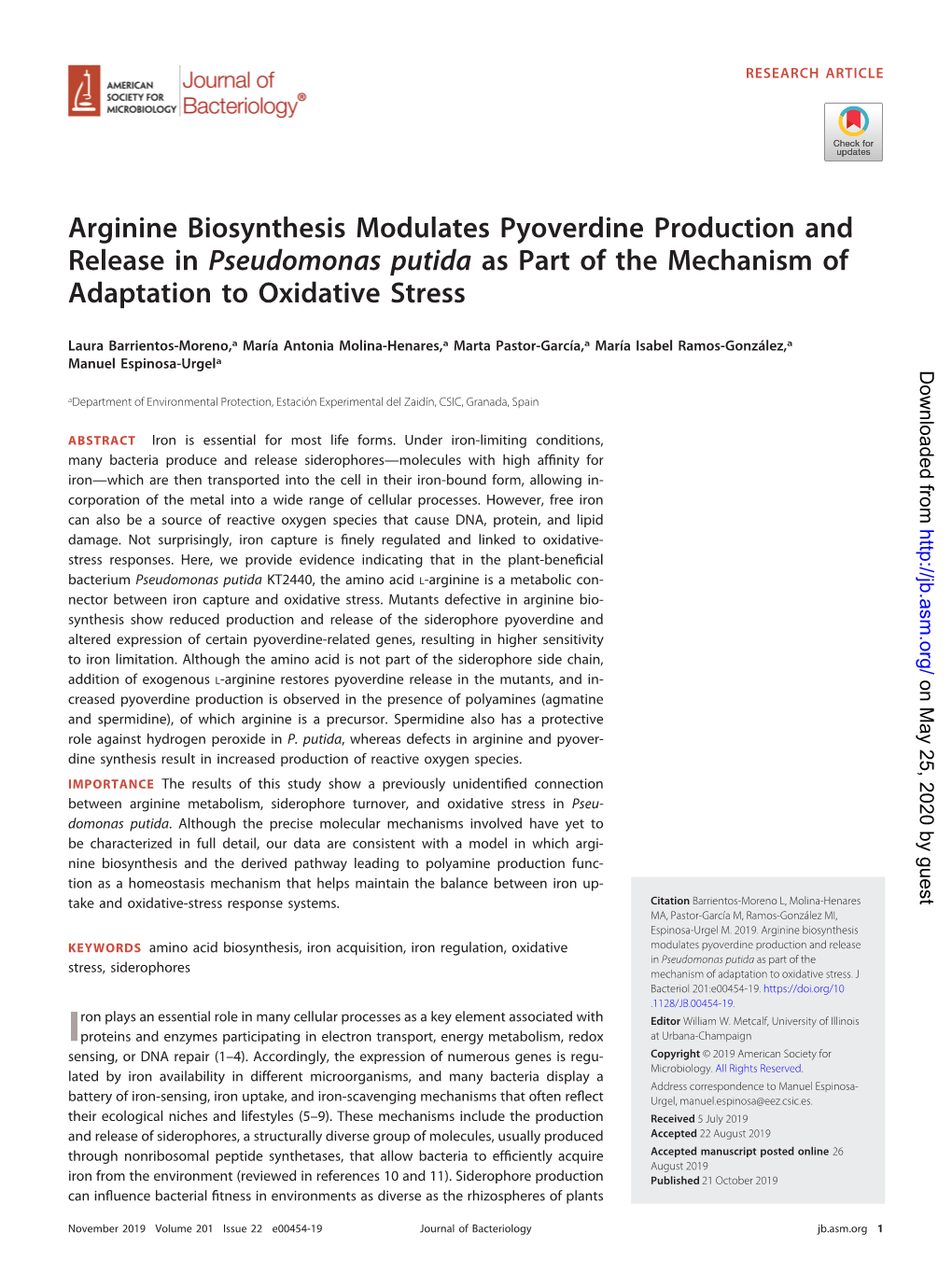 Arginine Biosynthesis Modulates Pyoverdine Production and Release in Pseudomonas Putida As Part of the Mechanism of Adaptation to Oxidative Stress