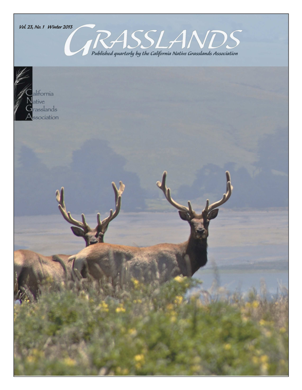 Vol. 23, No. 1 Winter 2013 from the President’S Keyboard Our Understanding of California Grasslands Is Growing by Jim Hanson, President