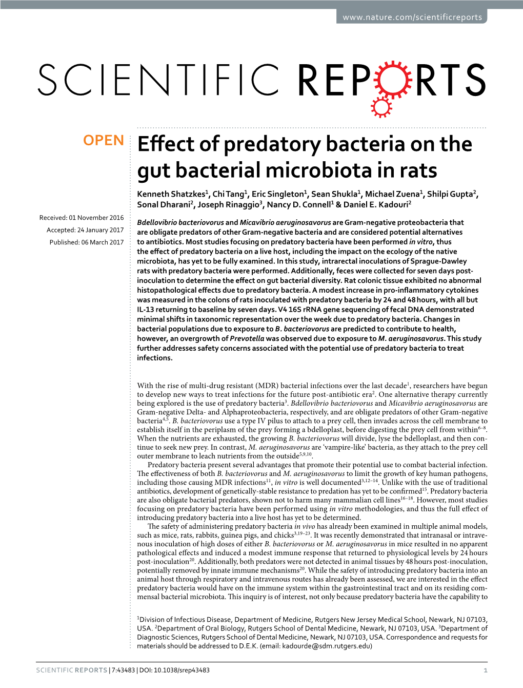 Effect of Predatory Bacteria on the Gut Bacterial Microbiota in Rats