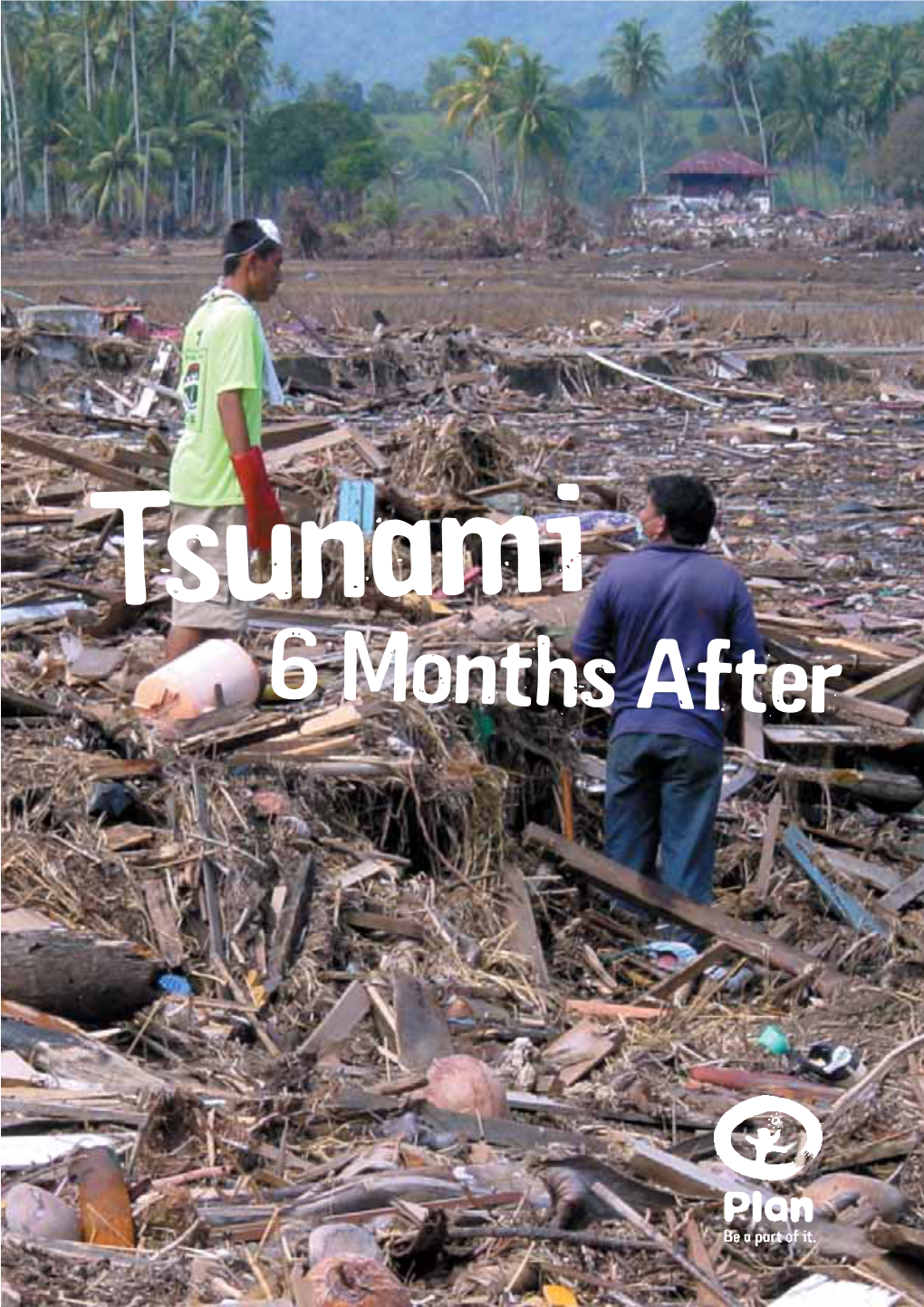 6 Months After Tsunami – 6 Months After