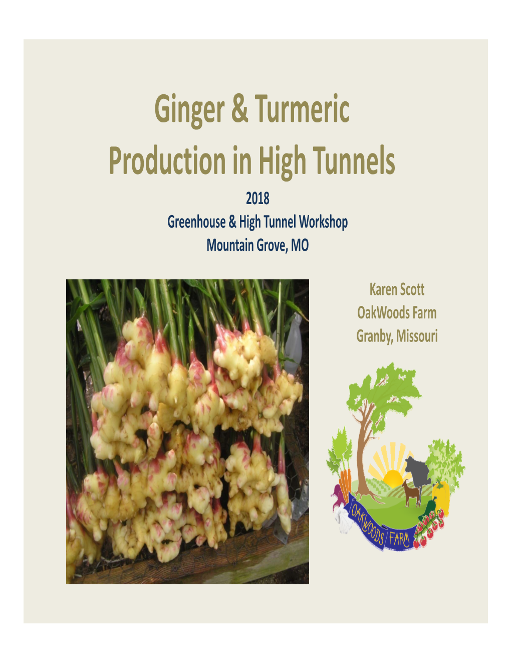 Ginger & Turmeric Production in High Tunnels