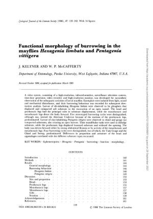 Functional Morphology of Burrowing in the Mayflies Hexagenia Limbata