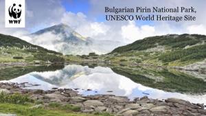 Bulgarian Pirin National Park, UNESCO World Heritage Site
