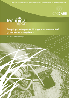 Sampling Strategies for Biological Assessment of Groundwater Ecosystems